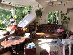 a living room filled with lots of furniture and plants on the wall next to windows