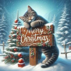 a cat sitting on top of a wooden sign in front of a snowy christmas tree