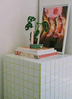 a stack of books sitting on top of a white shelf next to a plant and a candle