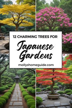 different types of trees and shrubs with text overlay reading 12 charming trees for japanese gardens