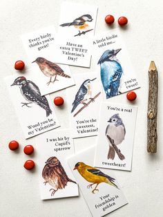 four cards with different birds on them next to a pencil and some cherries in front of them