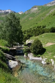 a small stream running through a lush green field next to a forest and mountain range