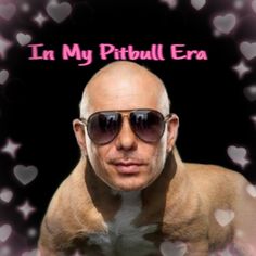 Pitbull meme Mr Worldwide Wallpaper, Pitbull Reaction Pic, Funny Pitbulls, Pitbull Funny, Mr Worldwide, Funny Pitbull Pictures, Mr Worldwide Pitbull Funny, Pitbull Playlist Cover, Pitbull Mr Worldwide