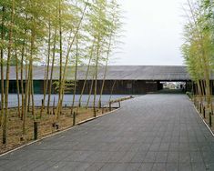 the walkway is lined with bamboo trees in front of an open area that leads to a pavilion