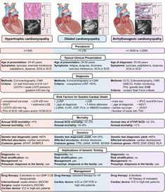 Medical School Essentials, Critical Care