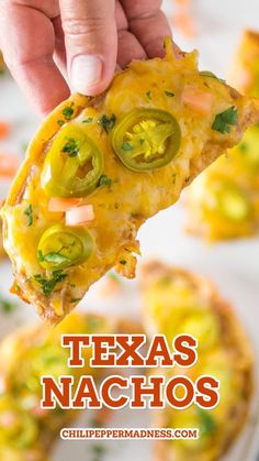 Tgi Fridays Tostado Nachos Recipe, Deep Fried Nachos, Nacho Chips From Tortilla, Cheap Nachos Recipes, Nachos With Jalapenos, Chili's Nachos Copycat, Street Corn Nachos Recipe, Nacho Appetizers For Party, Things To Do With Corn Tortillas