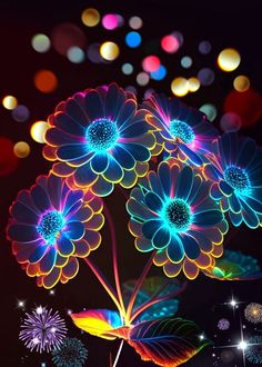 colorful flowers are lit up in the night sky with bright lights and sparkles behind them