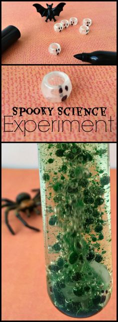 spooky science experiment in a jar filled with moss and other things to make it