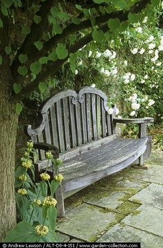 a wooden bench sitting under a tree next to flowers