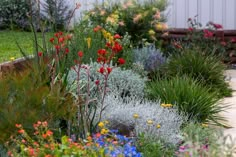 a garden filled with lots of different types of flowers