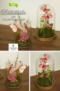 three photos of pink flowers in a glass dome with moss and stones on the bottom