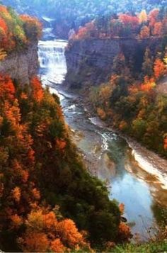 a river flowing through a lush green forest covered in fall foliage and surrounded by mountains