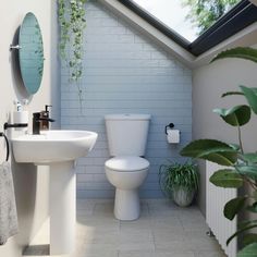 a white toilet sitting next to a sink in a bathroom under a skylight with plants growing on the wall