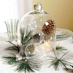 a glass dome with pine cones on it