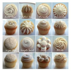 twelve different types of cupcakes with frosting on top and below the icing