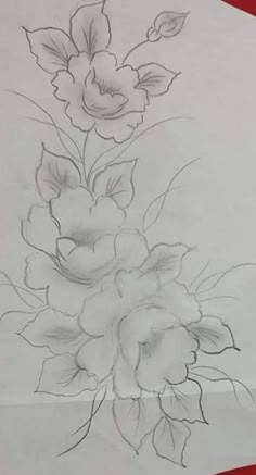 a pencil drawing of flowers on paper with red border around it and one flower in the middle