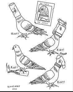 birds with labels on them are shown in black and white, including the names of different types