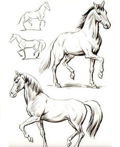 three horses are shown in black and white