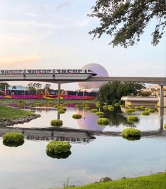 the train is going over the bridge in the park