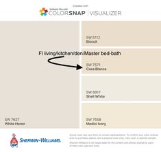 the colorsnap visualizer is shown with an arrow pointing to it