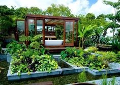 a garden with lots of plants and water in the center, surrounded by greenery