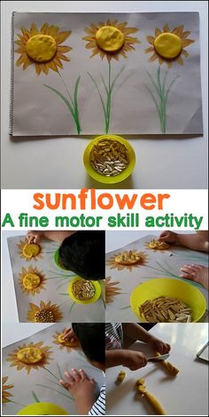 sunflower fine motor skill activity for kids