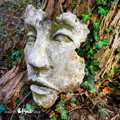 a stone face sitting on the ground next to a tree