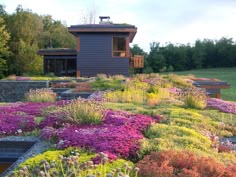 the house is surrounded by colorful flowers and trees