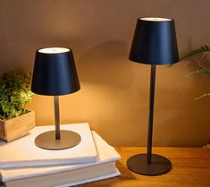 two black lamps sitting next to each other on top of a wooden table near a potted plant