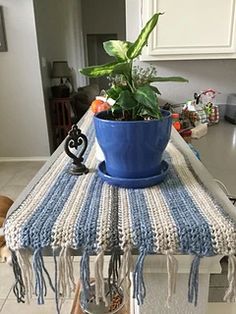 a blue potted plant sitting on top of a kitchen counter next to a rug