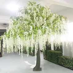 a tree with white flowers is in the middle of a room that has hedges on both sides