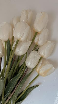 a bunch of white flowers with water droplets on them sitting on a counter top next to green stems