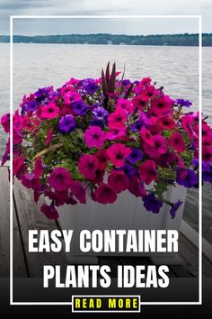 a container filled with purple flowers sitting on top of a wooden dock