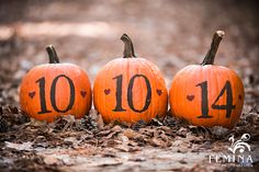 three pumpkins with numbers on them sitting in the leaves