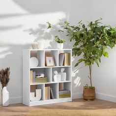 a potted plant sitting on top of a wooden floor next to a white book shelf