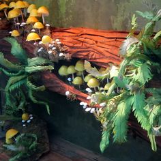 an arrangement of plants and mushrooms on display