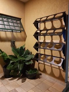 there is a potted plant in the corner of this room with shelves on the wall