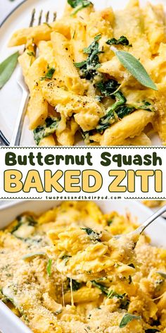 This Butternut Squash Baked Ziti is a cozy dinner recipe that starts with baked pasta with a creamy butternut squash sauce, cheese, and a crunchy panko topping. Pin this simple Fall recipe! Everything Soup, Baked Pasta Recipes Vegetarian, Butternut Squash Baked, Classic Baked Ziti, Two Peas And Their Pod, Squash Sauce, Butternut Squash Sauce, Creamy Butternut Squash, Yummy Veggies