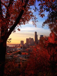 the city skyline is seen through trees with red leaves