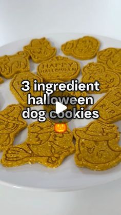 three ingredient halloween dog cookies on a white plate with the words 3 ingredients in front of them