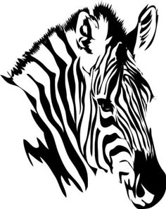 a zebra's head in black and white on a white background with the words, `