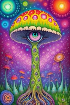 Mushroom Png, Mushrooms Art, A Phone Wallpaper, Frog Tattoo, Festival Make Up, Owl Artwork, Frog Tattoos, World Inspiration, The Hangover