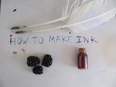 a bottle of ink next to some blackberries and a feather on a piece of paper that says how to make ink