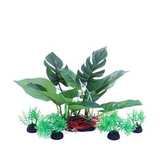 Aquarium 6 inch Silk Plants for Betta Fish Tank, Underwater Aquatic Water Grass Decor Whiting Recipes, Whiting Fish, Leftover Fish, Healthy Tilapia, Fish Tilapia, Grill Salmon, Fish Casserole, Breaded Fish