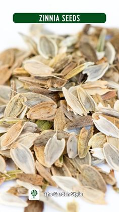 an image of seeds with the words zinnia seeds