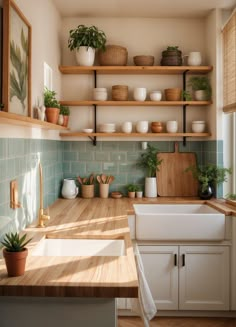 the kitchen is clean and ready to be used as a place for potted plants