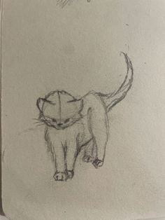 a pencil drawing of a cat on a piece of paper