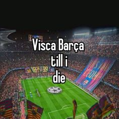 a soccer stadium filled with lots of people and flags in the stands that read visca barca tilli die