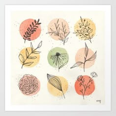 a drawing of different types of flowers and leaves on paper with dots in the background