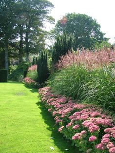 pink flowers line the side of a long row of trees and shrubs in a garden